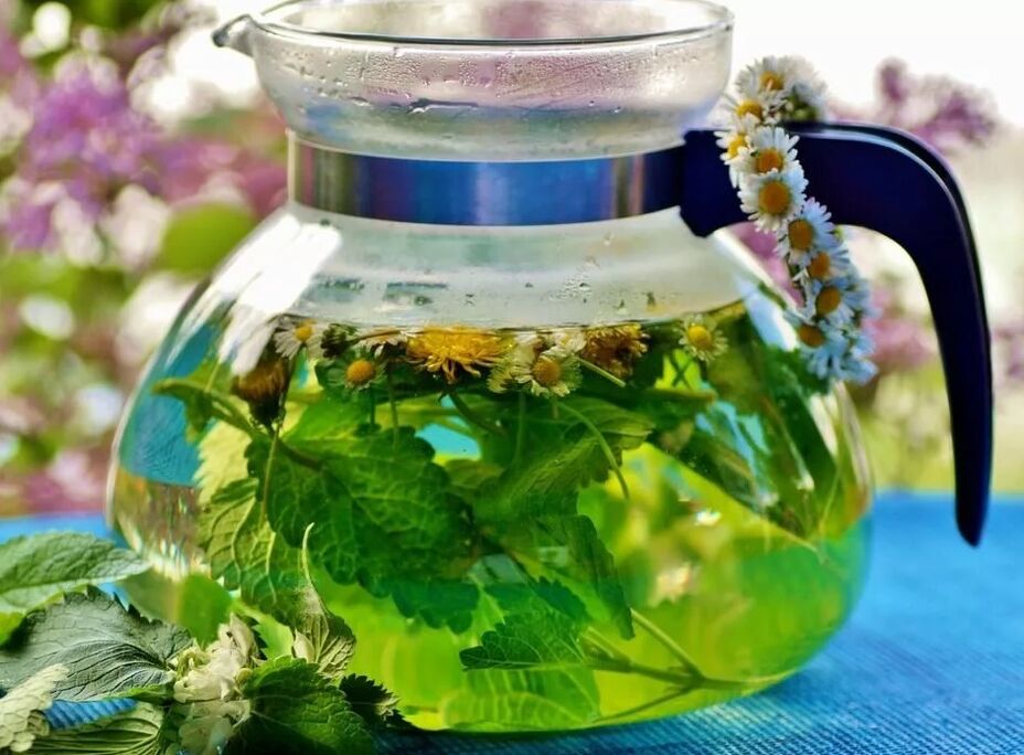Infusion of collection of varicose veins herbs