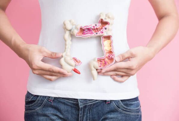 The functioning of the intestine